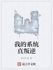 我的系统真叛逆