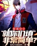 游戏设计就你们填非常简单小说