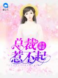 重生辣妻：总裁惹不起苏小艾