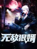 无敌狠婿陈阳
