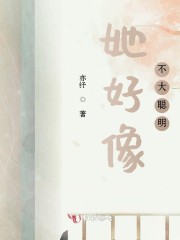 她好像不大聪明