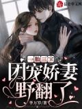 一胎三宝:团宠娇妻野翻了阅书阁