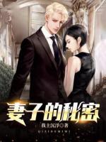 妻子的秘密吴双 小说免费