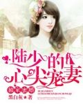 莫暖陆琛小说全文章节无弹窗