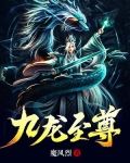 九龙至尊无删减 小说下载